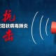 上海市疫情控制，精准施策与全民协作的成功典范