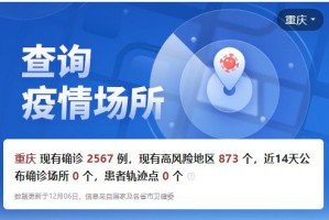 重庆政府官网疫情公告，权威信息发布与市民应对指南
