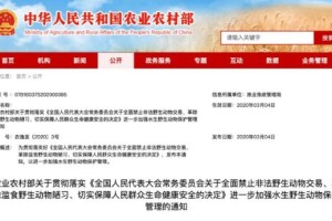 乌鲁木齐市疫情热线电话全指南，快速查询与使用攻略