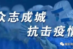 疫情下的合肥与成都，封城措施与城市应对策略对比