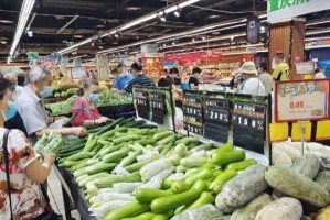 重庆疫情最新公告，从武汉经验看防控策略的优化与挑战