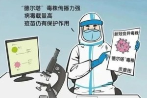 沈阳疫情与印度变异毒株，防控挑战与应对策略
