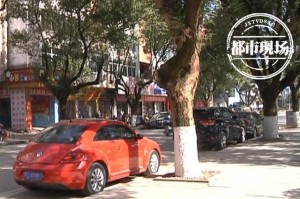 沈阳智慧停车真烦人，市民吐槽背后的智慧停车困局
