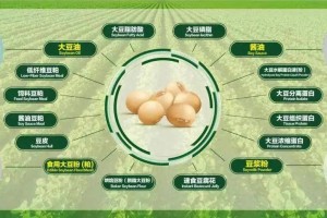 重庆疫情与南京有关吗？深度解析两地疫情关联性