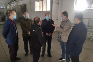 上海疫情局兰州分局电话服务指南，如何高效获取疫情相关信息