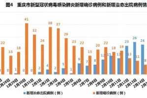 重庆市疫情最新动态与拉萨防控措施双城记，数据解读与出行指南