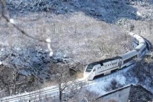 太原到哈尔滨，一趟穿越北国风情的火车之旅