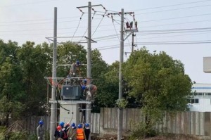 疫情下的合肥与上海，死亡人数对比与城市防疫措施分析