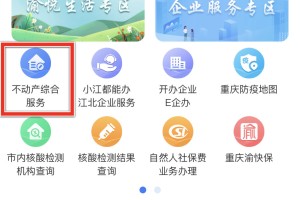 重庆疫情政策查询指南，最新防疫措施与便民服务全解析