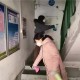 天津与上海疫情防控策略对比，谁的模式更胜一筹？