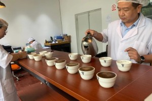 杭州疫情封城时间及安徽省疫情数据详解