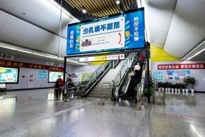 重庆市疫情公告权威发布渠道汇总，官方平台与实时查询指南