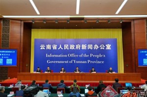 重庆市疫情公告与云南省最新消息，两地防控措施与最新动态解析