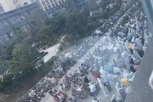 疫情最新动态，合肥封城了吗？郑州封城了吗？权威解读来了！