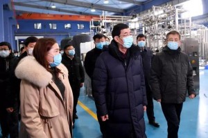 长春疫情关系图，解析传播链与防控策略