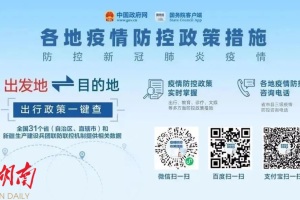 长沙疫情防控指挥部官网，权威信息发布与便民服务指南