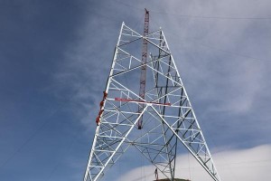 青海省疫情防控最新动态与南宁市应对措施对比分析