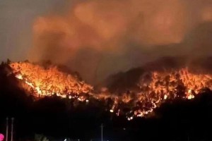 重庆疫情回顾，单日病例最高峰达到多少例？