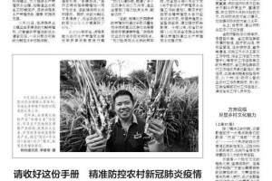 四川省疫情防控，精准施策与全民共筑健康防线