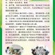 上海卫健委负责人，疫情下的责任与担当