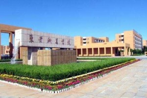山东省考历年招聘人数深度分析，趋势、变化与备考策略