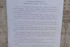 沈阳疫情封锁令最新进展，全面解除了吗？