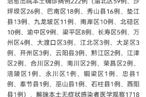 重庆疫情速报，最新动态与防控措施全面解析
