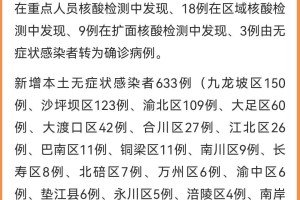 重庆市与湖南省最新疫情报告，防控措施与现状分析