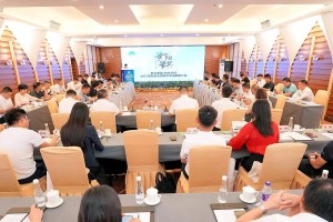 重庆成都安全现状深度解析，2023年最新旅行与居住安全指南