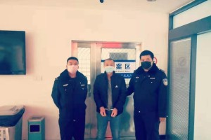 沈阳疫情真实死亡人数统计与分析，官方数据与民间传闻的对比