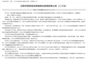 沈阳市疫情防控文件解读，最新政策与市民应对指南