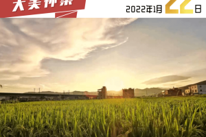 疫情广东省最新动态，多地防控升级，南宁天气骤变需防寒保暖