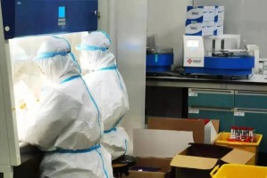 天津山东疫情最新动态，防控措施与区域协作的挑战与机遇