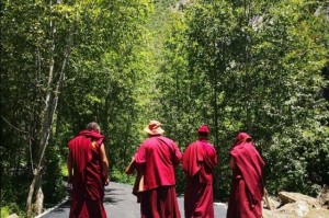 疫情福州封城，拉萨如何应对？防疫措施与经验分享