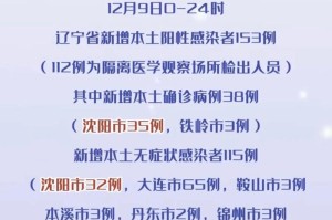 沈阳疫情新动向，防控升级与市民应对指南