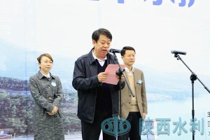 陕西省水利厅副厅长，职责、贡献与水利发展展望