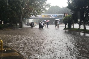 疫情最新，哈尔滨全部停运了吗？西宁交通状况如何？