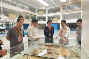 疫情下的成都望平街事件，城市治理与民生困境的缩影