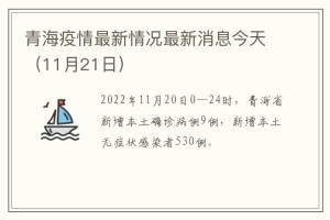 青海省疫情最新消息，今日新增病例情况及防控措施解析