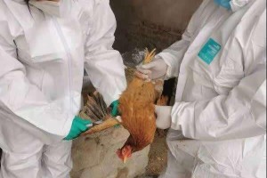 沈阳新增51个重型病例疫点，疫情形势分析与防控建议