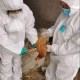 沈阳新增51个重型病例疫点，疫情形势分析与防控建议