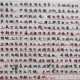 山东省省考申论考试时间解析，如何高效利用180分钟？