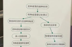 重庆新冠疫苗接种全攻略，流程、地点与注意事项