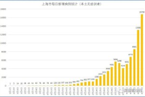 上海最新传染病疫情分布，热点区域与防控措施全面解析