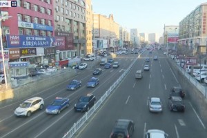 疫情哈尔滨停运了，拉萨怎么办？交通中断下的应对策略