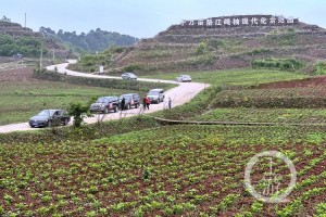 重庆江津区龙华镇镇长，乡村振兴的领路人