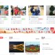 陕西省水利厅官方网站，水利信息权威发布与便民服务的一站式平台