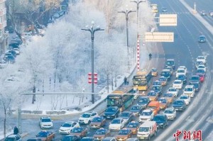 哈尔滨疫情最新消息，全部停运了吗？济南出行政策有何变化？