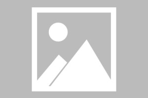 石家庄疫情事件与福州最新防控措施，双重挑战下的中国抗疫策略