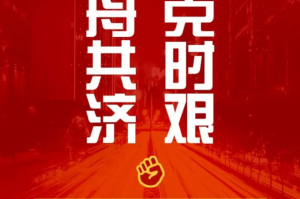 上海抗疫新闻发布会直播，权威信息发布与市民互动的重要平台